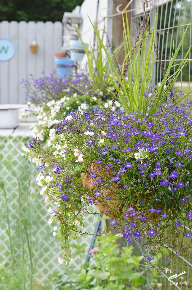 Flower gardening ideas | cottage at the crossroads