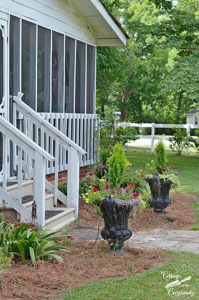 Flowers and cypress plants in urns | cottage at the crossroads