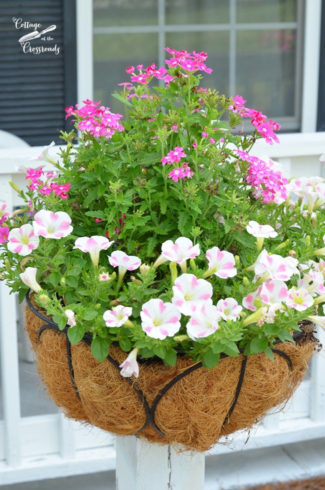 Flower pots on wooden posts | cottage at the crossroads