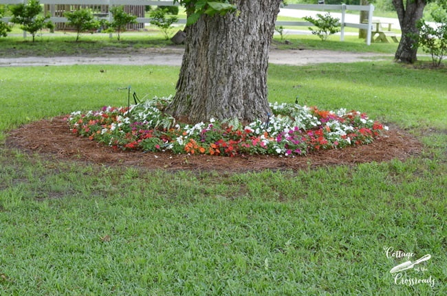 Flower gardening ideas | cottage at the crossroads