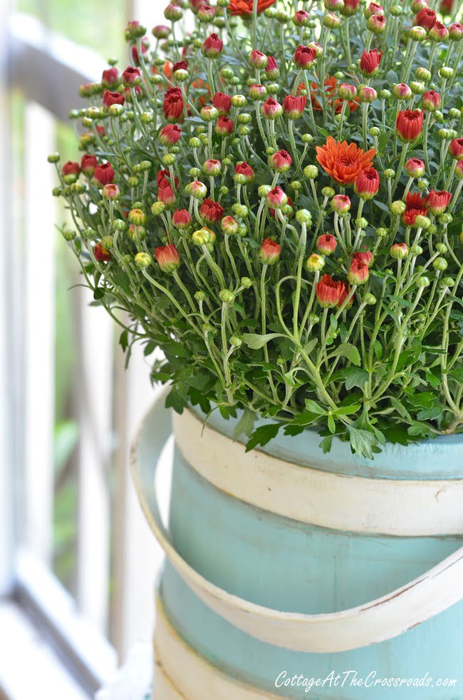 Antique firkin bucket painted aqua