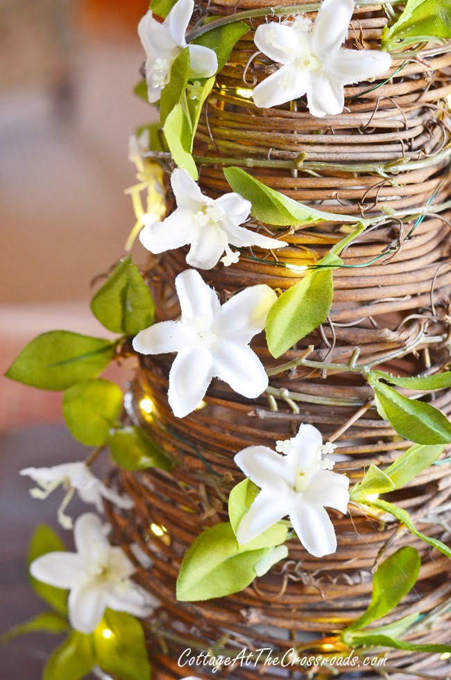 Flowers on an early spring grapevine cone