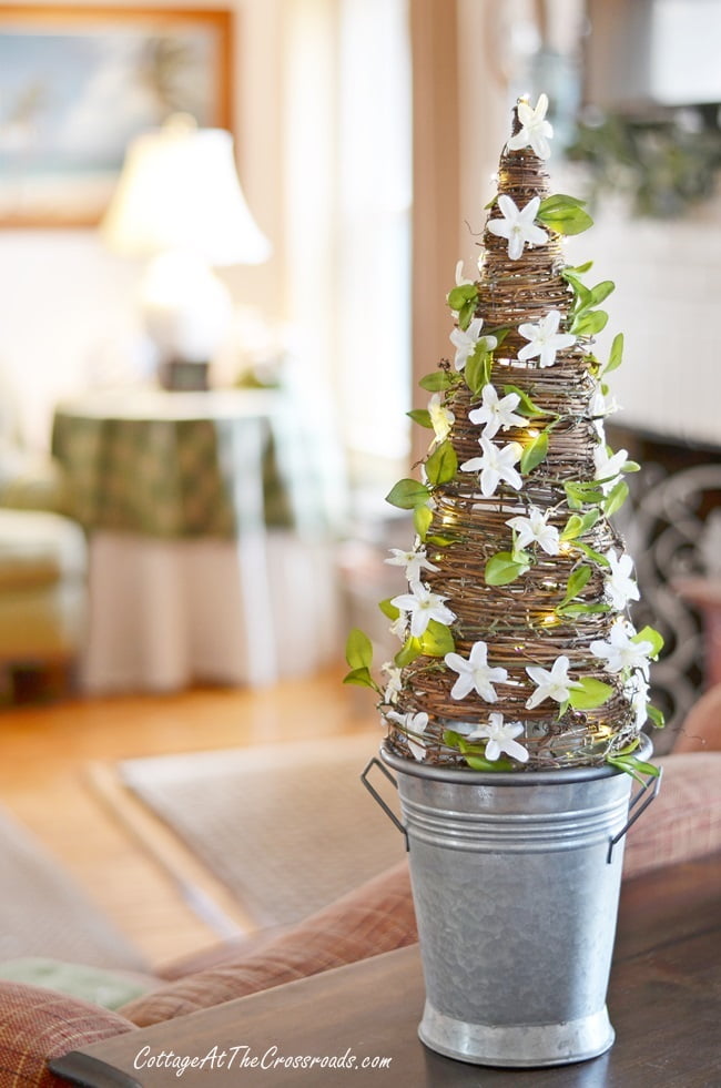 Early spring grapevine cone topiary