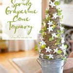 Early spring grapevine cone topiary