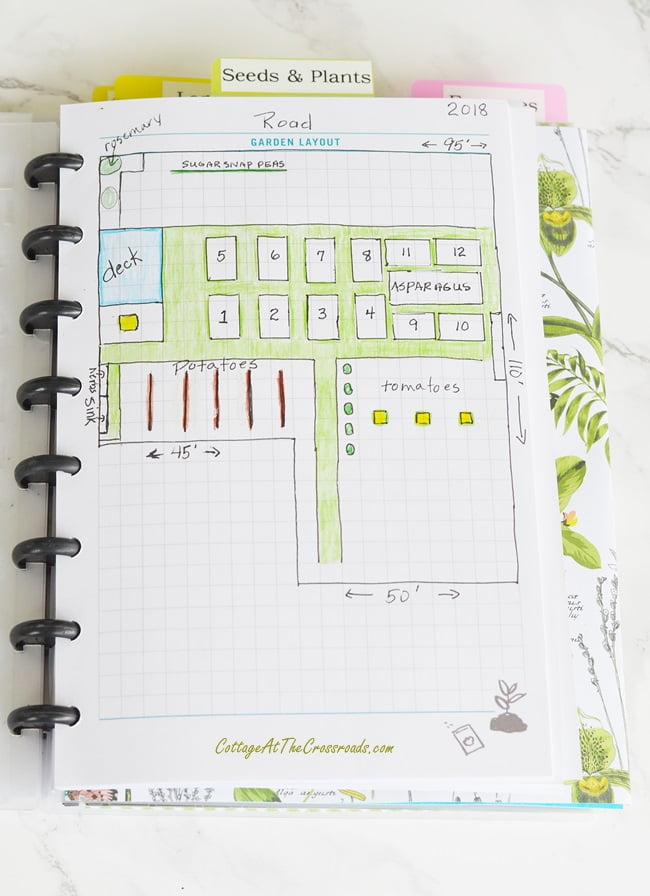 Sketch of the vegetable garden at cottage at the crossroads