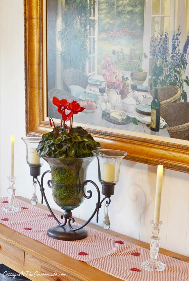 Red cyclamen on the sideboard