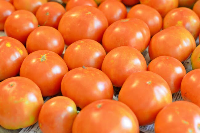 23 of the Best Slicing Tomatoes to Grow in Your Garden