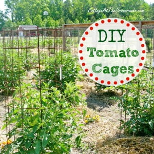 Diy tomato cages