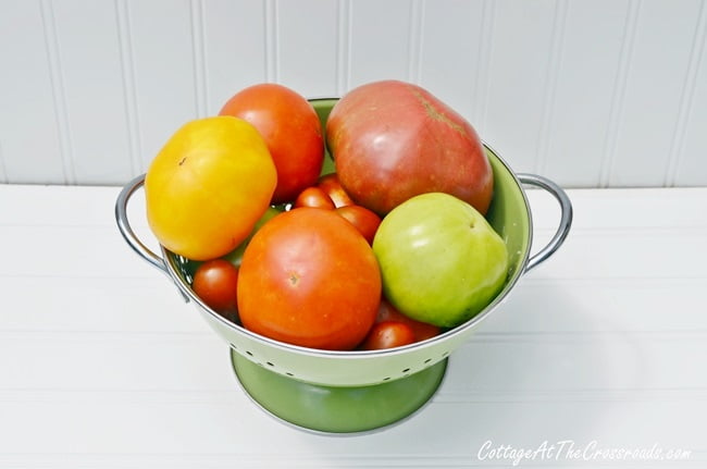 A variety of tomatoes in a colander