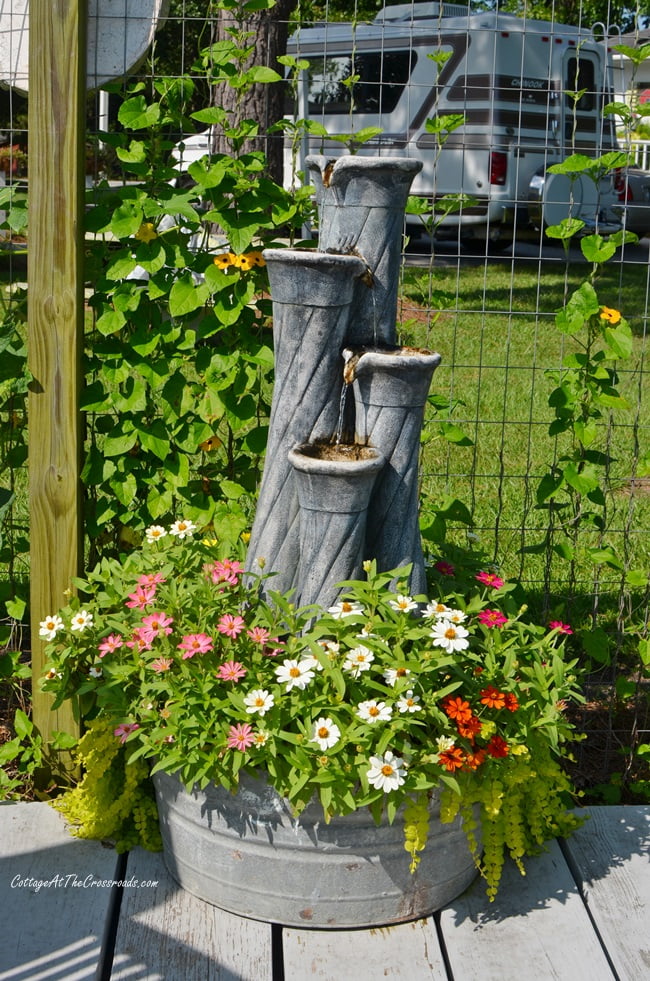 Profusion zinnias planted in a galvanized tub