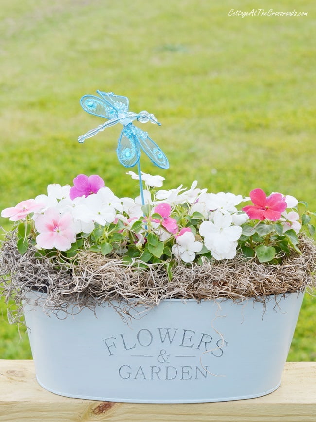 Dragonfly pick in a flower planter