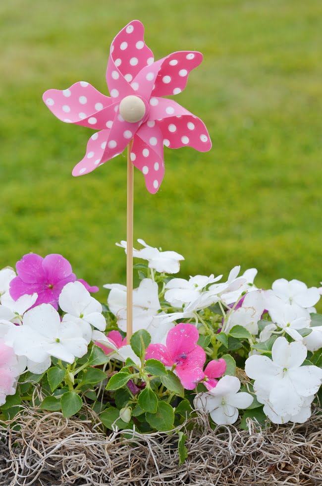 Pinswheel pick tucked down inside a metal planter