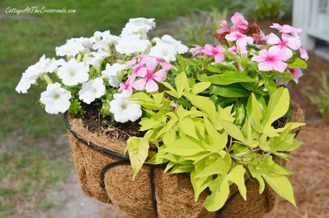 Flower basket mounted on a wooden post