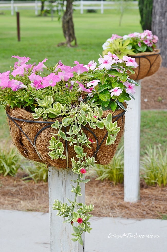 Flower baskets on wooden posts