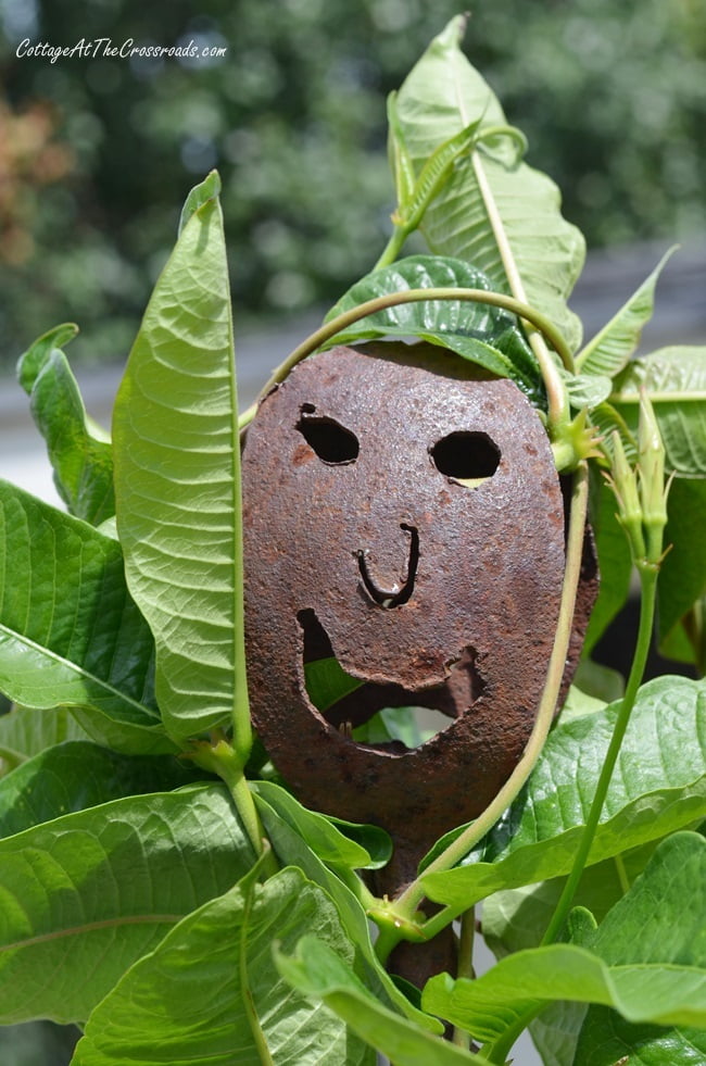 Face at the top of a trellis