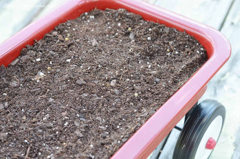 Potting soil used in creating a fairy garden