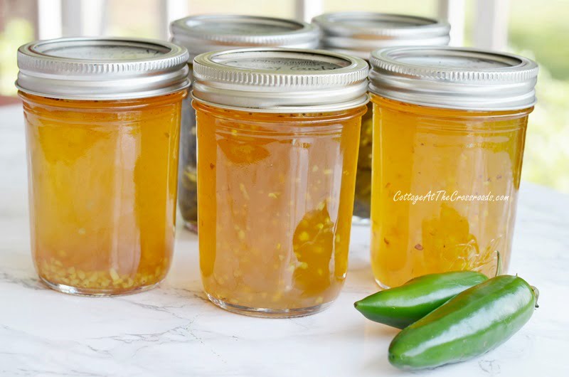 Candied jalapeno syrup