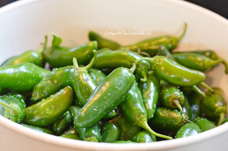 Fresh jalapeno peppers