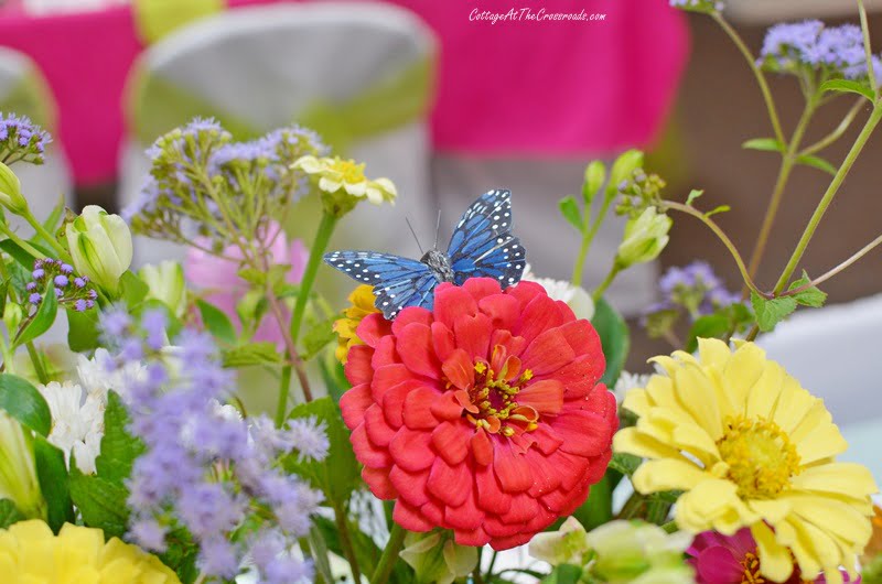 Butterfly on a red zinnia in a centerpiece