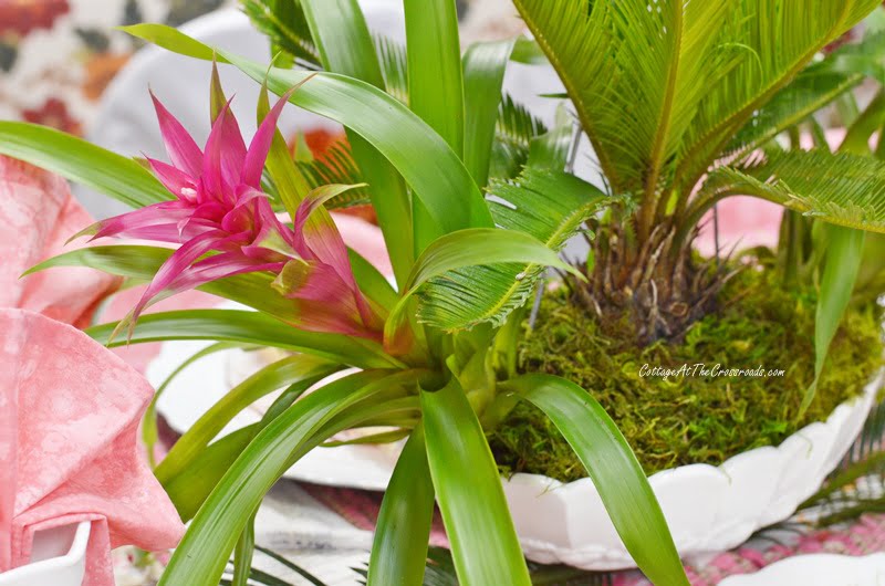 Bromeliad and sego palm used in the centerpiece