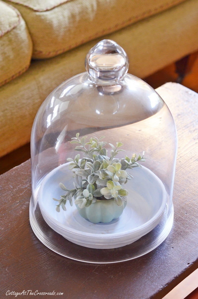 Fall decoration under a cloche