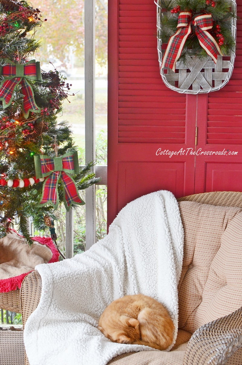 Cat curled up in a chair on a christmas front porch