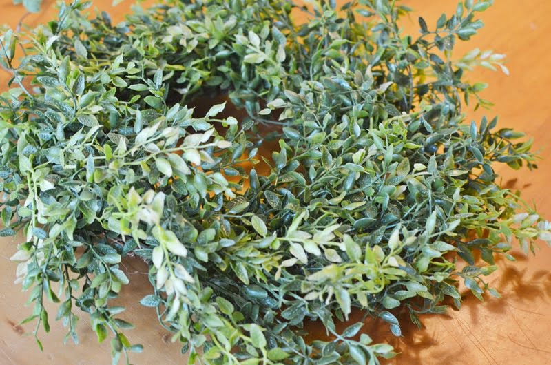 Small boxwood wreath