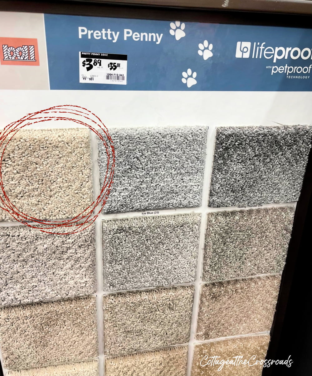 Photo showing the colors available in petproof carpet