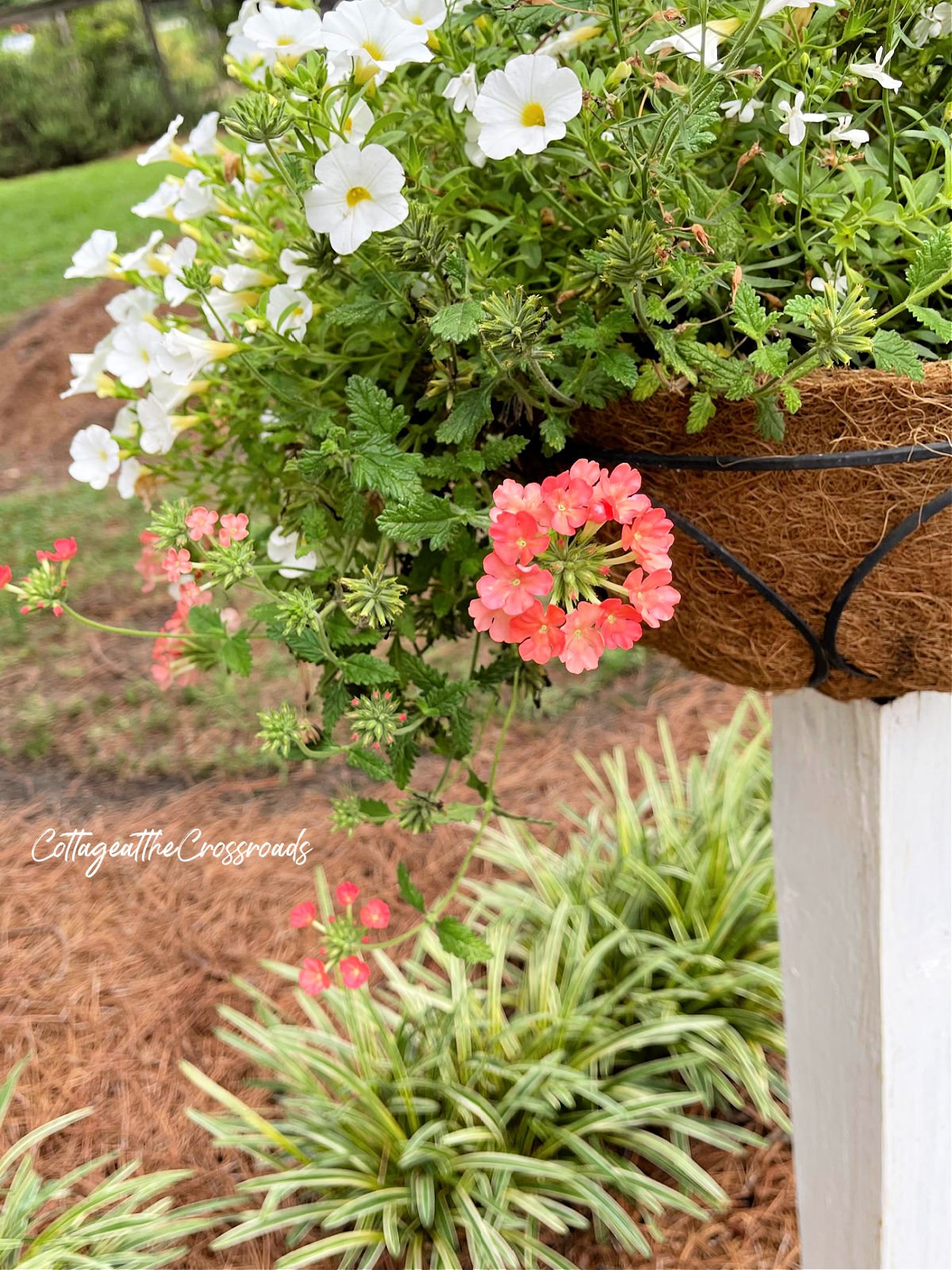 Flower basket mounted on a wooden post