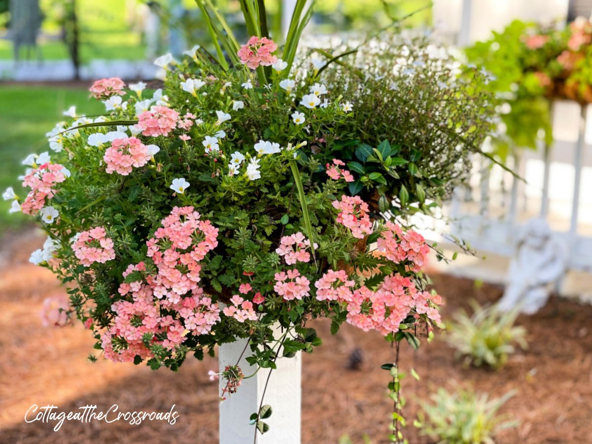 Coral verbena and other flowers in a basket on a wooden post