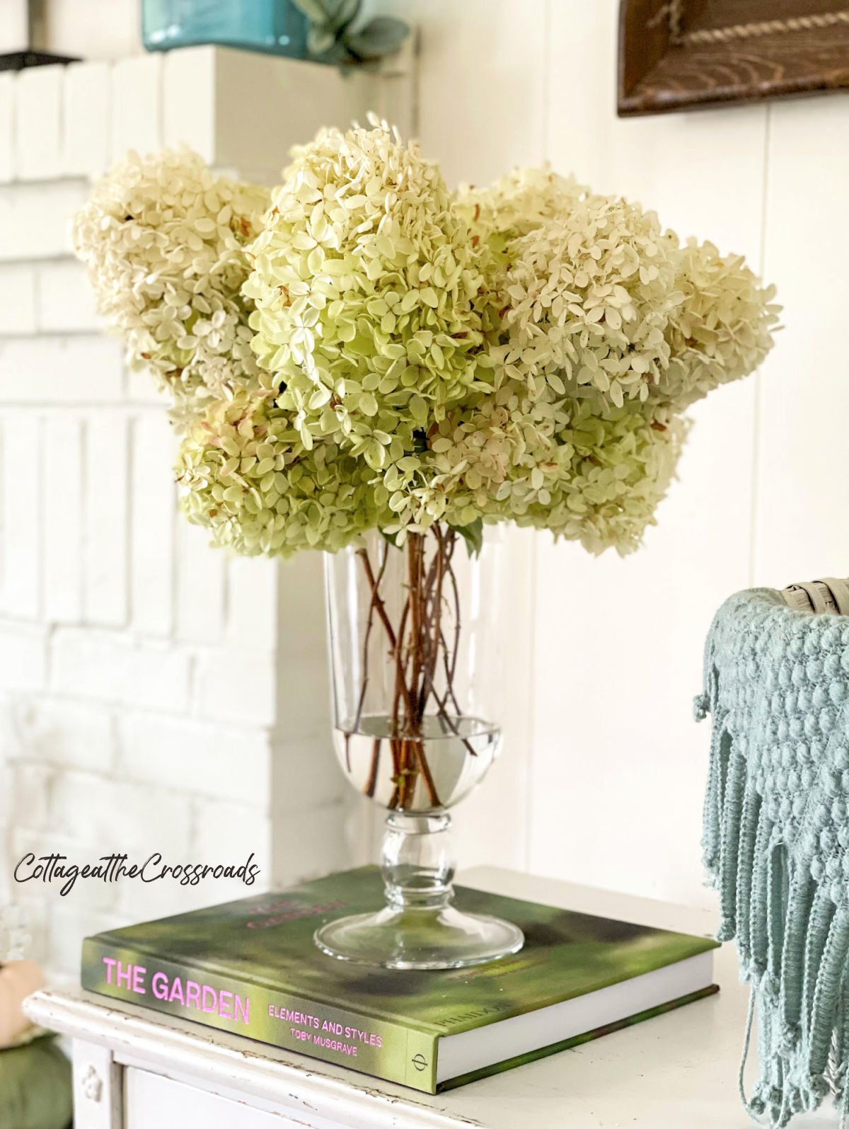 Limelight hydrangea blooms in a vase