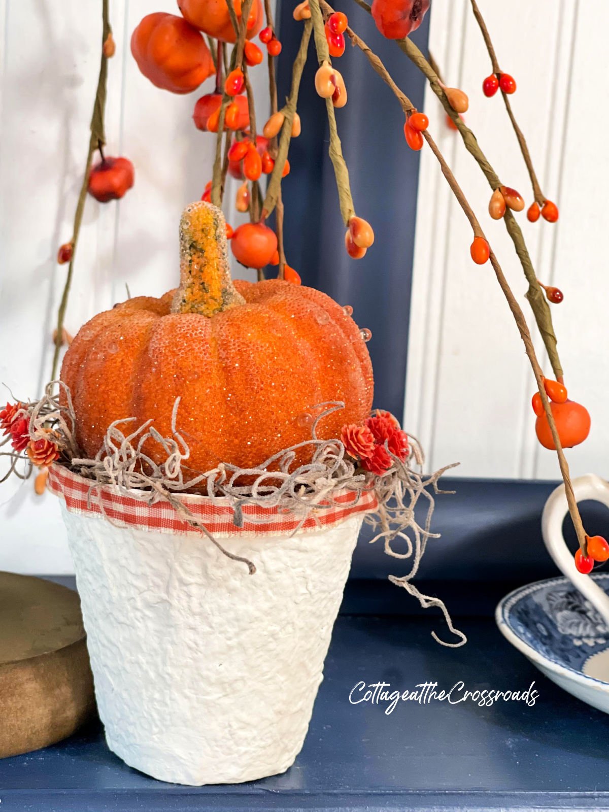 Orange pumpkin in a peat pot holder