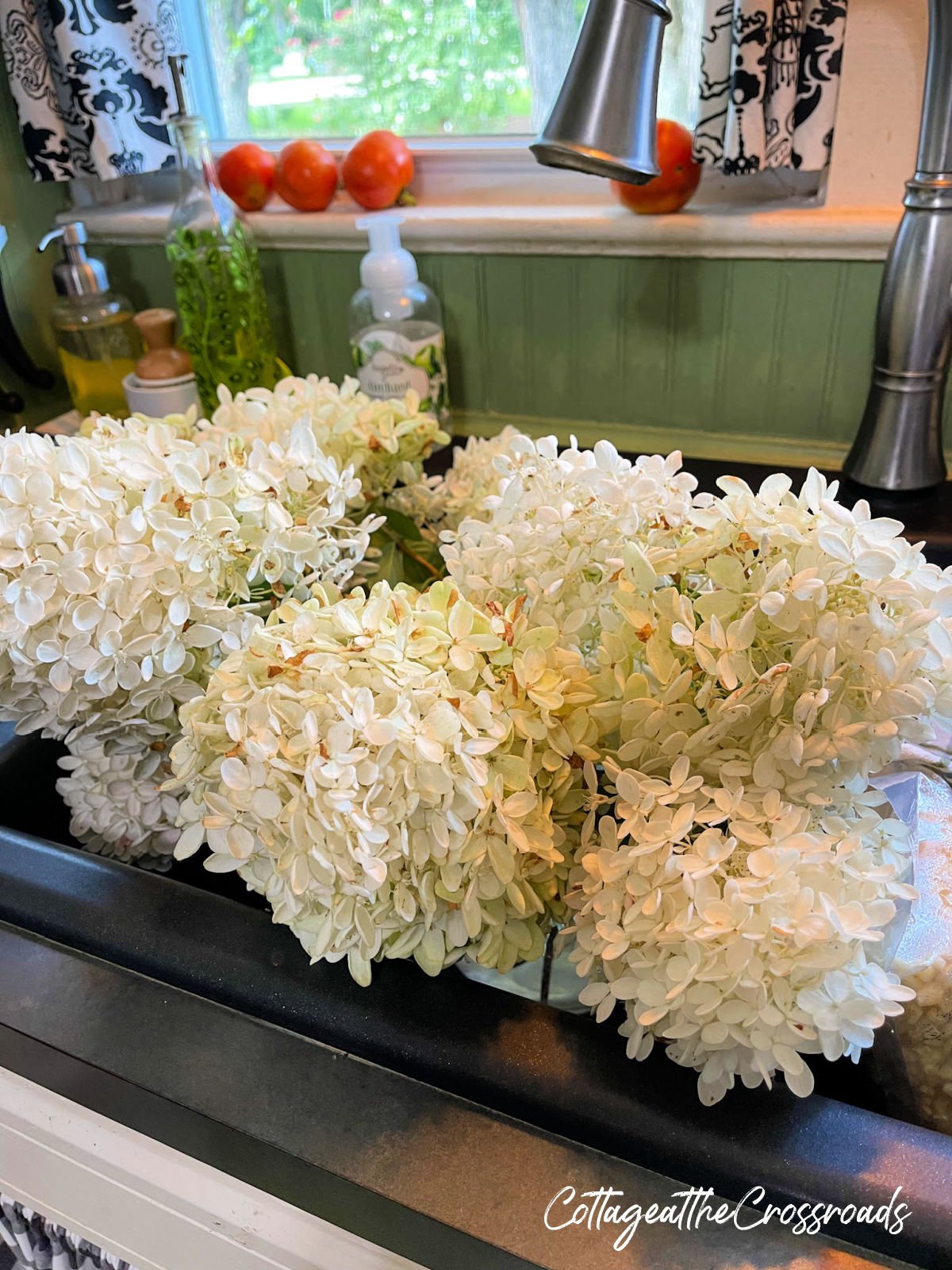 White hydrangea blooms in the sink