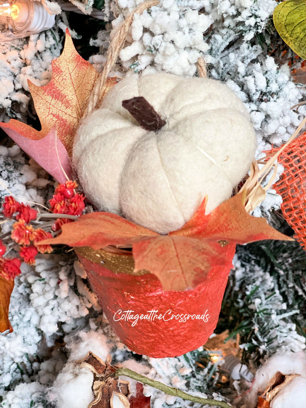 White wool pumpkin in a peat pot holder