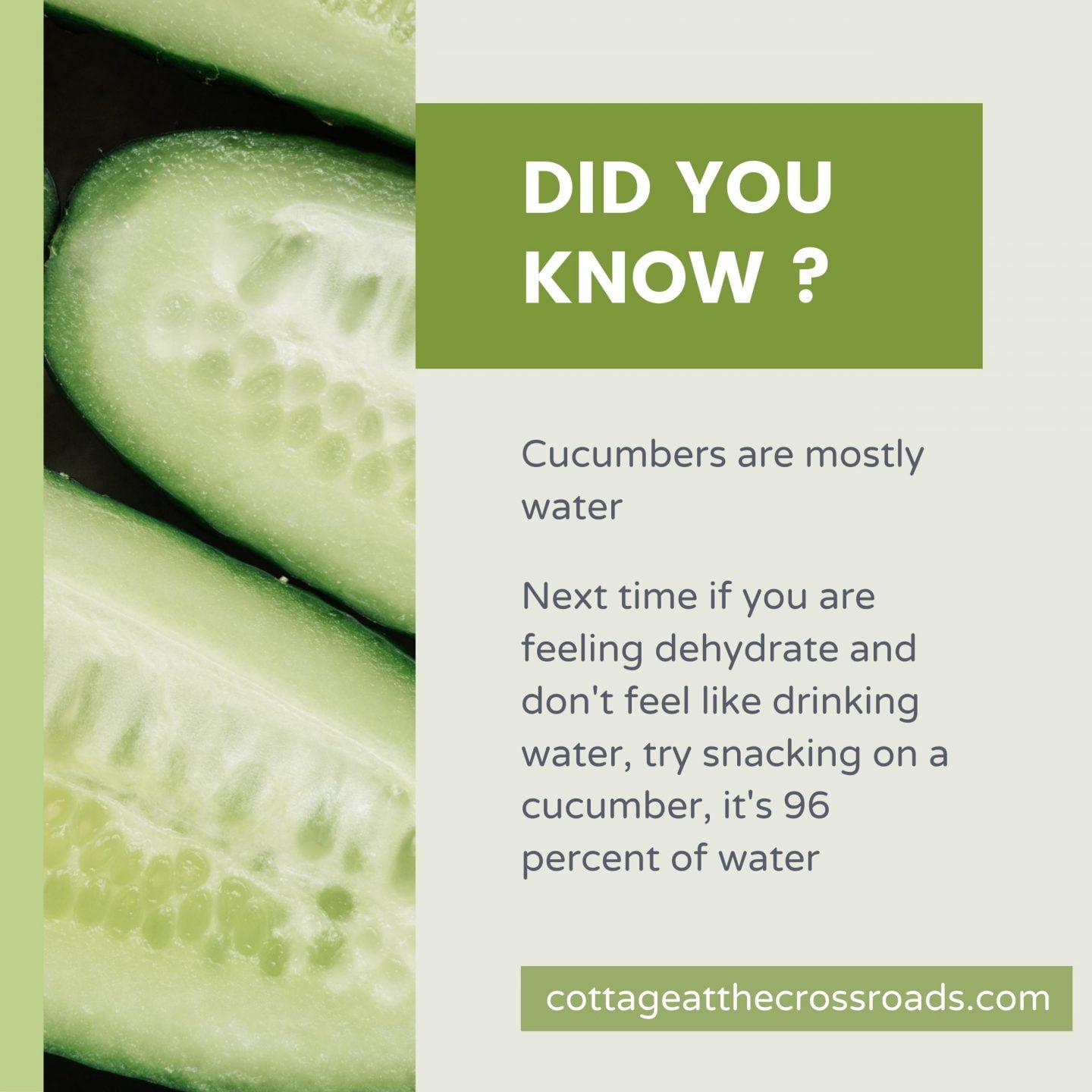 Did you know, cucumbers are mostly water