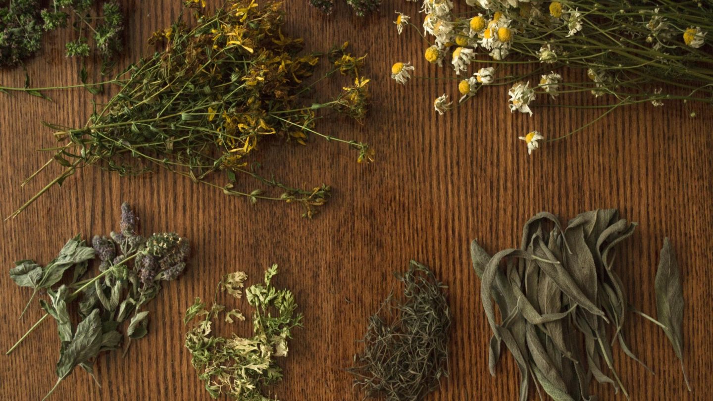 Perfectly dried herbs ready for storage