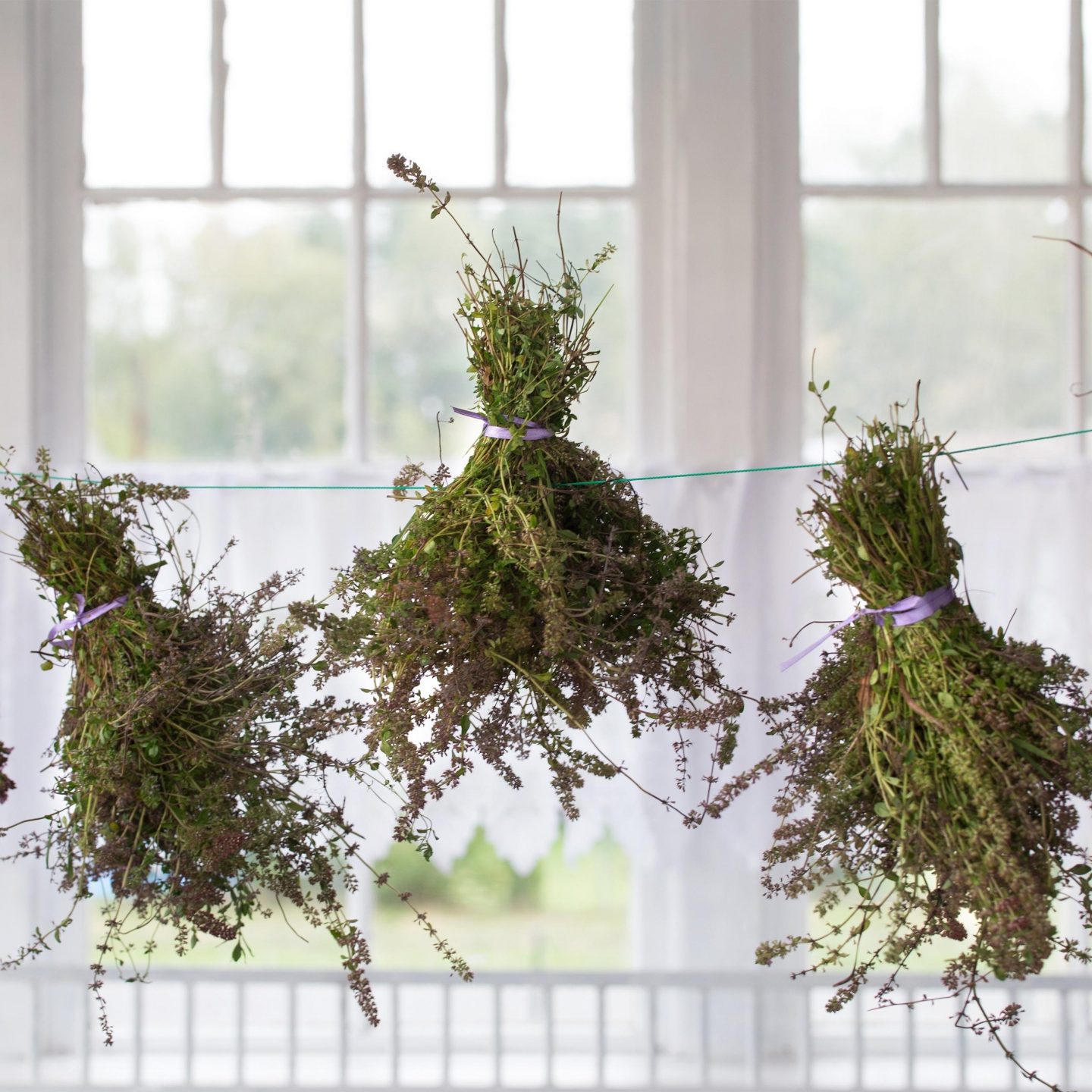 How to Dry Herbs