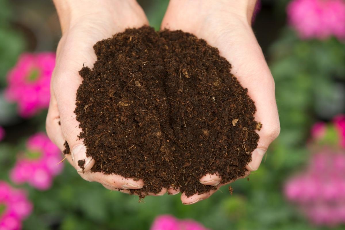 Potting mix vs. Potting soil