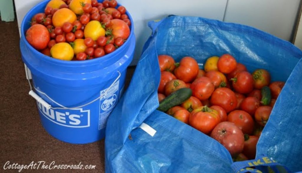 Homemade Canned Spaghetti Sauce with fresh tomatoes