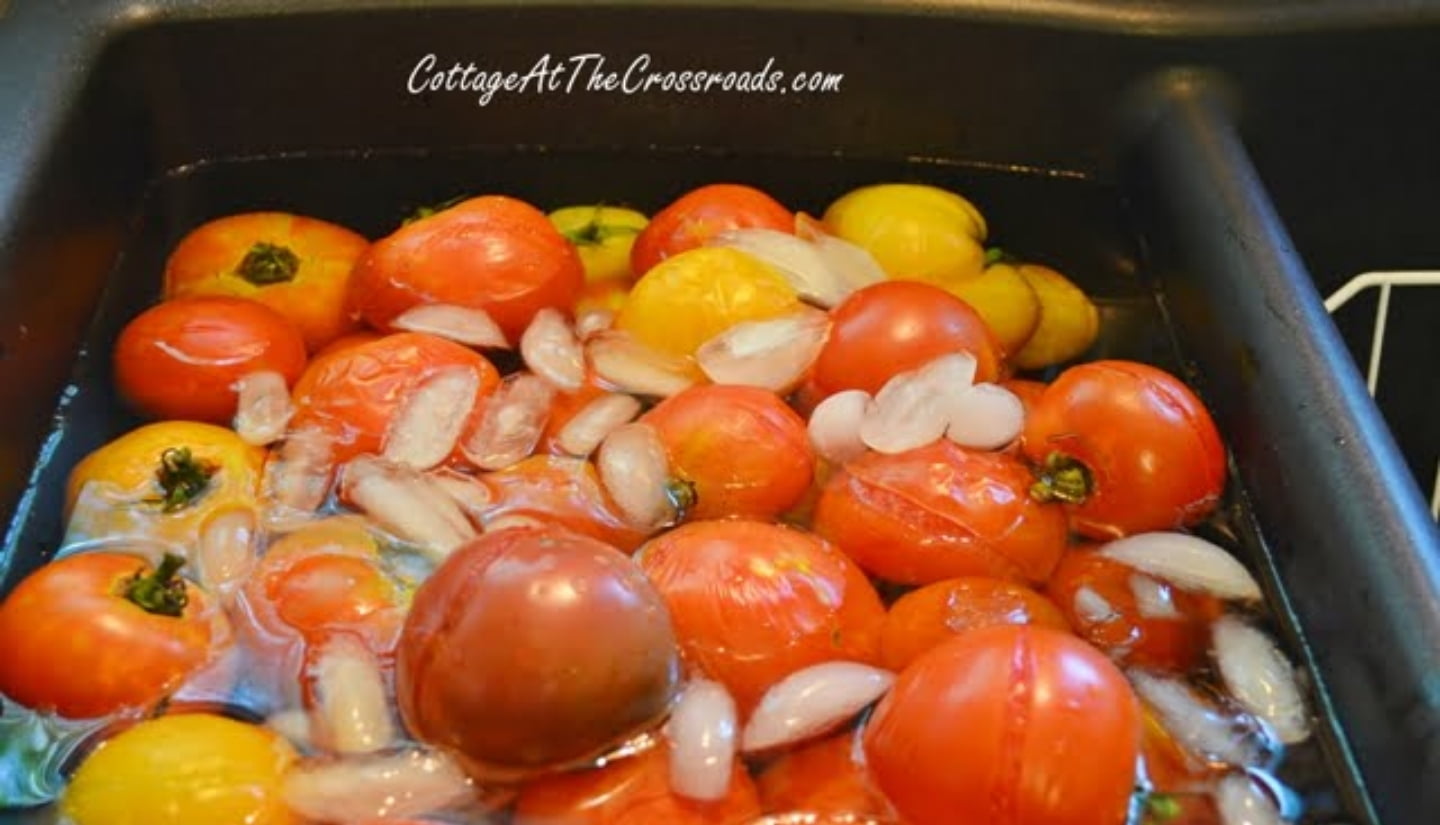 Core the tomatoes and cut them in halves or quarters.
