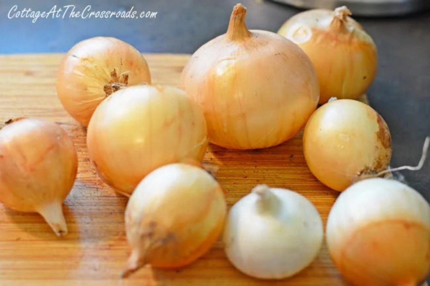 Large onions