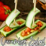 Side view of easy salad recipe with text which reads cucumber salad boats