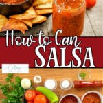 Photo collage of jar of salsa and ingredients to make salsa with text which reads how to can salsa