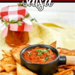Bowl of salsa surrounded by chips with text which reads how to can salsa