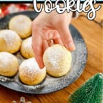 Hand holding easy holiday cookie with text which reads snowball cookies