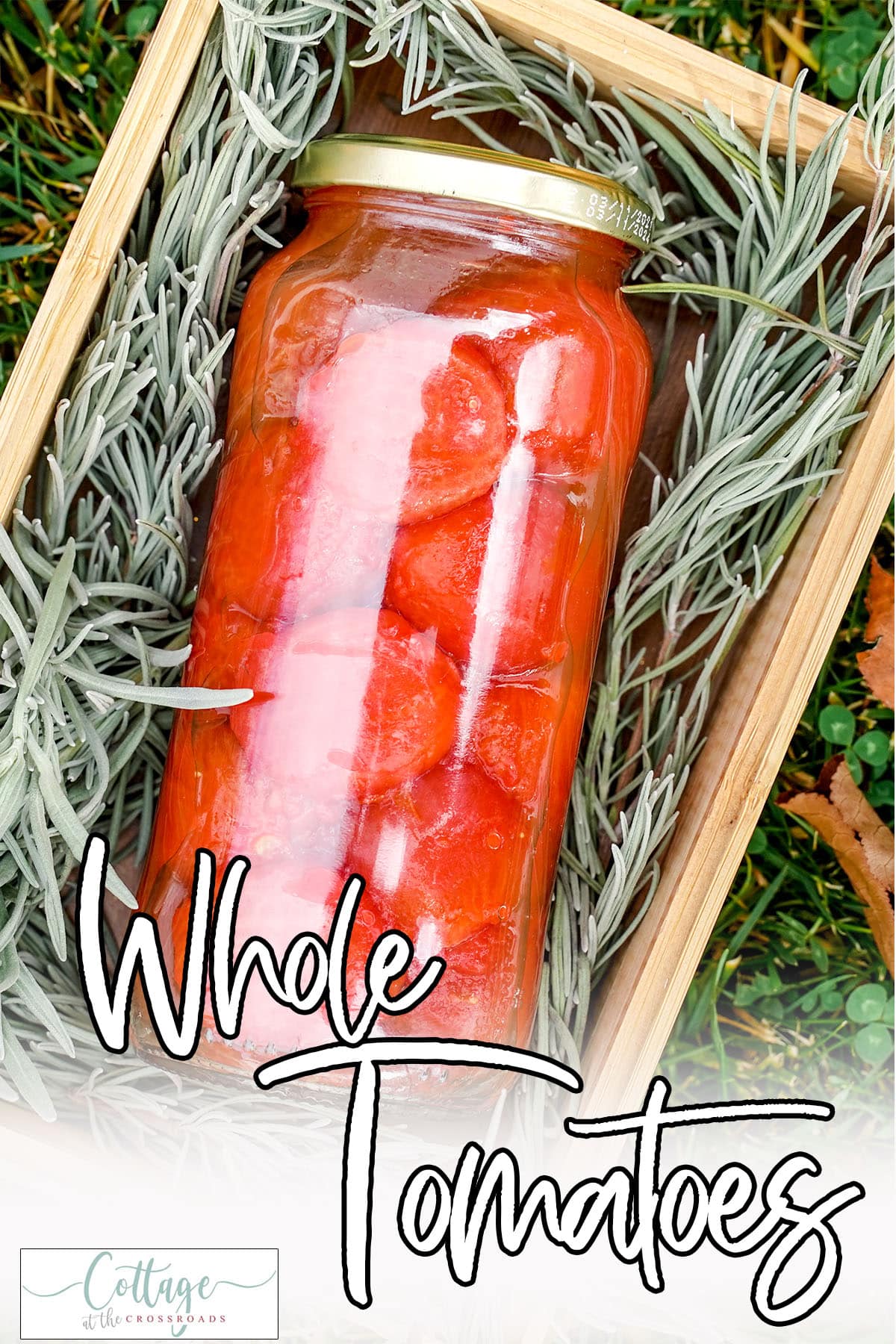 Canned Whole Tomatoes the Easy Way A StepbyStep Tutorial Cottage