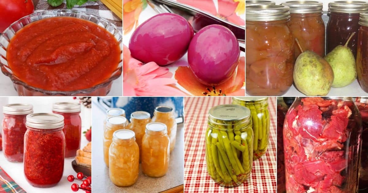 11 amish canning recipes that will impress your guests facebook image.