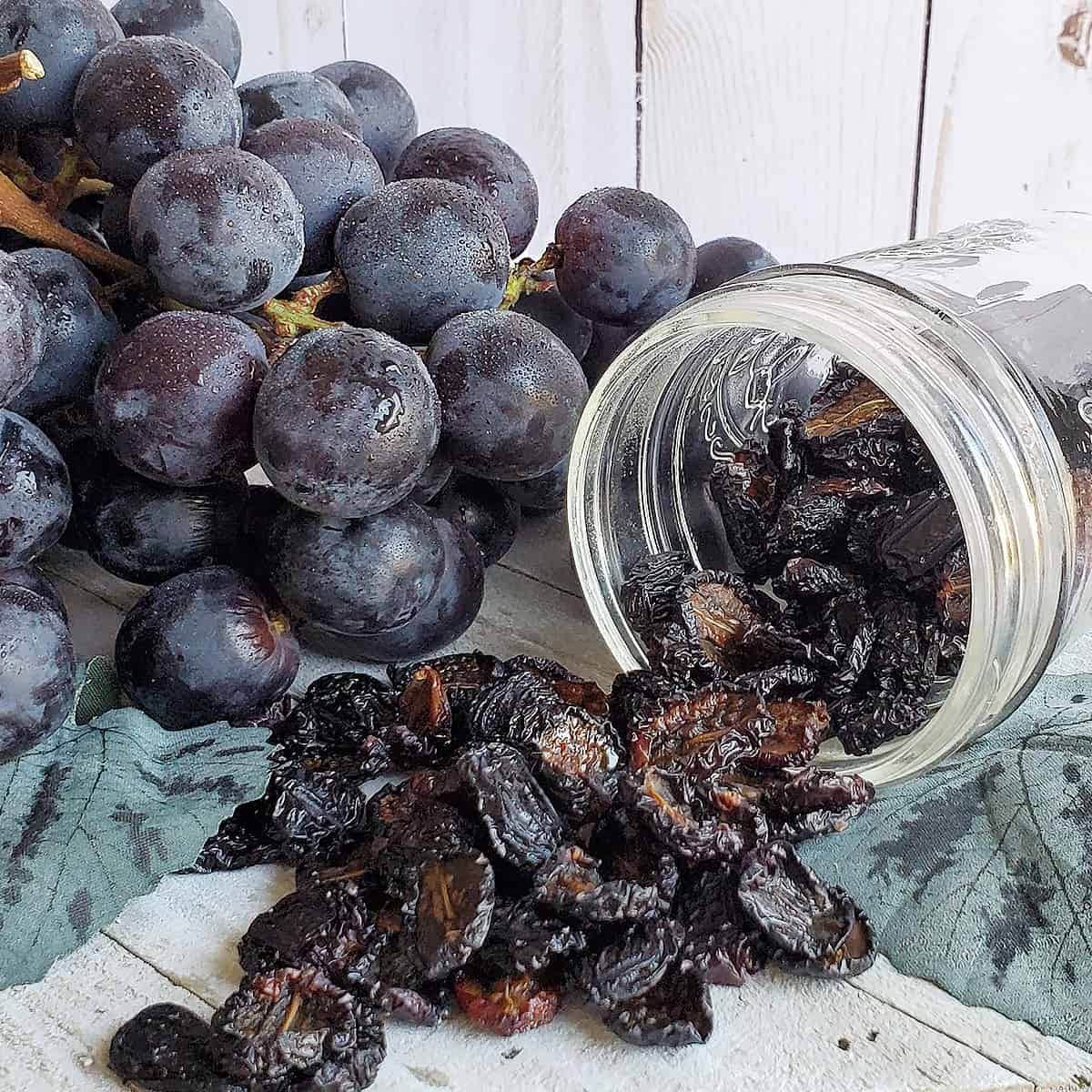 Homemade raisins spilled from a glass jar.