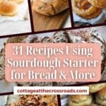 31 recipes using sourdough starter for bread & more pinterest image.