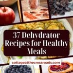 37 dehydrator recipes for healthy meals pinterest image.